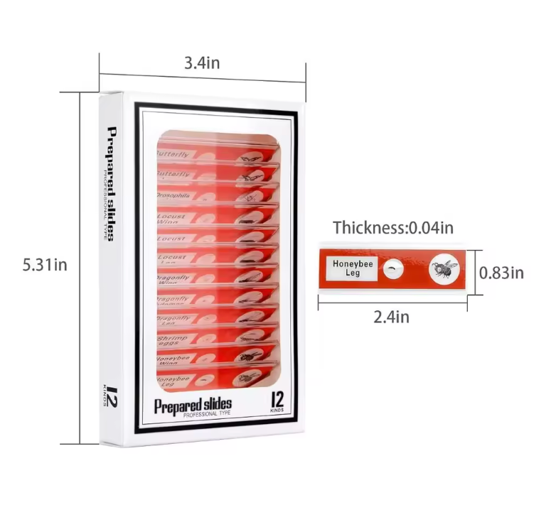 48 plastic prepared microscope slides, including plants, insects and animal tissues designed for educational purposes. Colored labels provide easy classification. Perfect for use in biological education