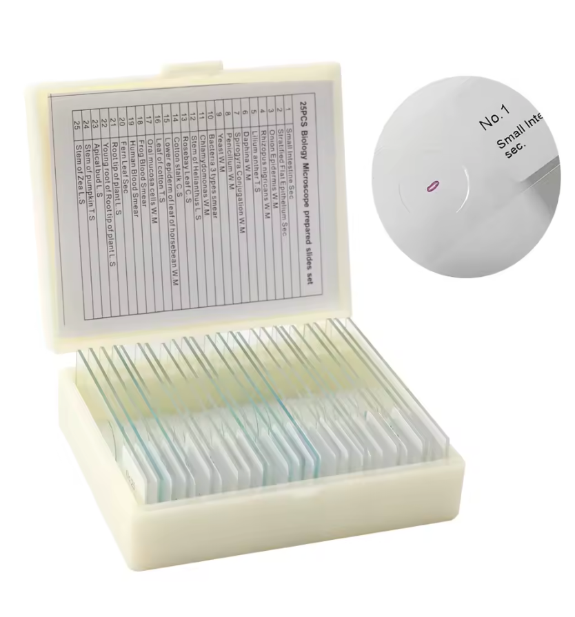 25PCS/Set Prepared Glass Microscope Slides. Biological Tissue Samples Mounted on Glass Slides Covered with Cover Slips. Portable and Educational