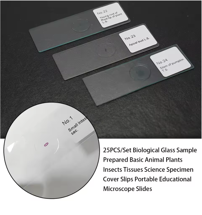 25PCS/Set Prepared Glass Microscope Slides. Biological Tissue Samples Mounted on Glass Slides Covered with Cover Slips. Portable and Educational