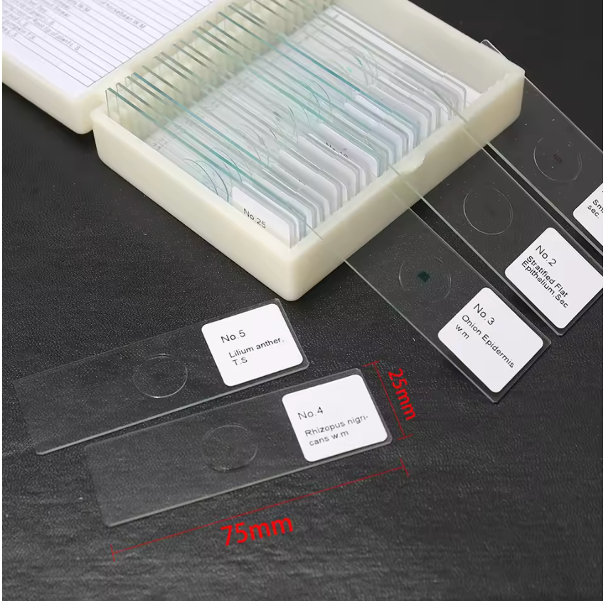 25PCS/Set Prepared Glass Microscope Slides. Biological Tissue Samples Mounted on Glass Slides Covered with Cover Slips. Portable and Educational