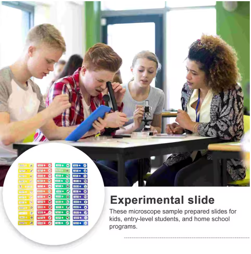 48 plastic prepared microscope slides, including plants, insects and animal tissues designed for educational purposes. Colored labels provide easy classification. Perfect for use in biological education