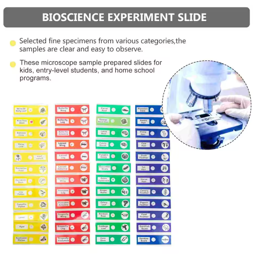 48 plastic prepared microscope slides, including plants, insects and animal tissues designed for educational purposes. Colored labels provide easy classification. Perfect for use in biological education
