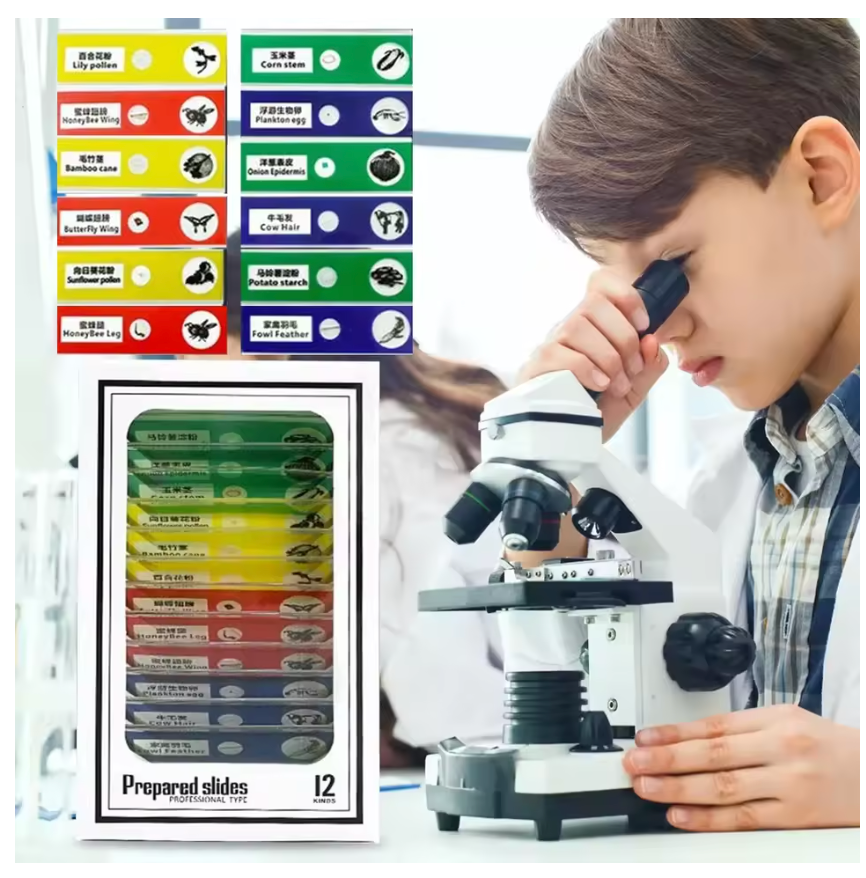 48 plastic prepared microscope slides, including plants, insects and animal tissues designed for educational purposes. Colored labels provide easy classification. Perfect for use in biological education