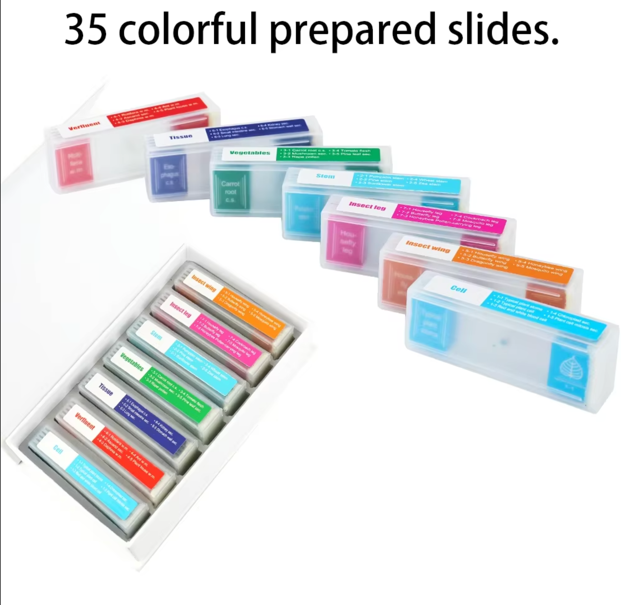 35 Piece Plastic Microscope Specimen Slides Biologically  Prepared For Microscopes. Primary, Secondary, College or University