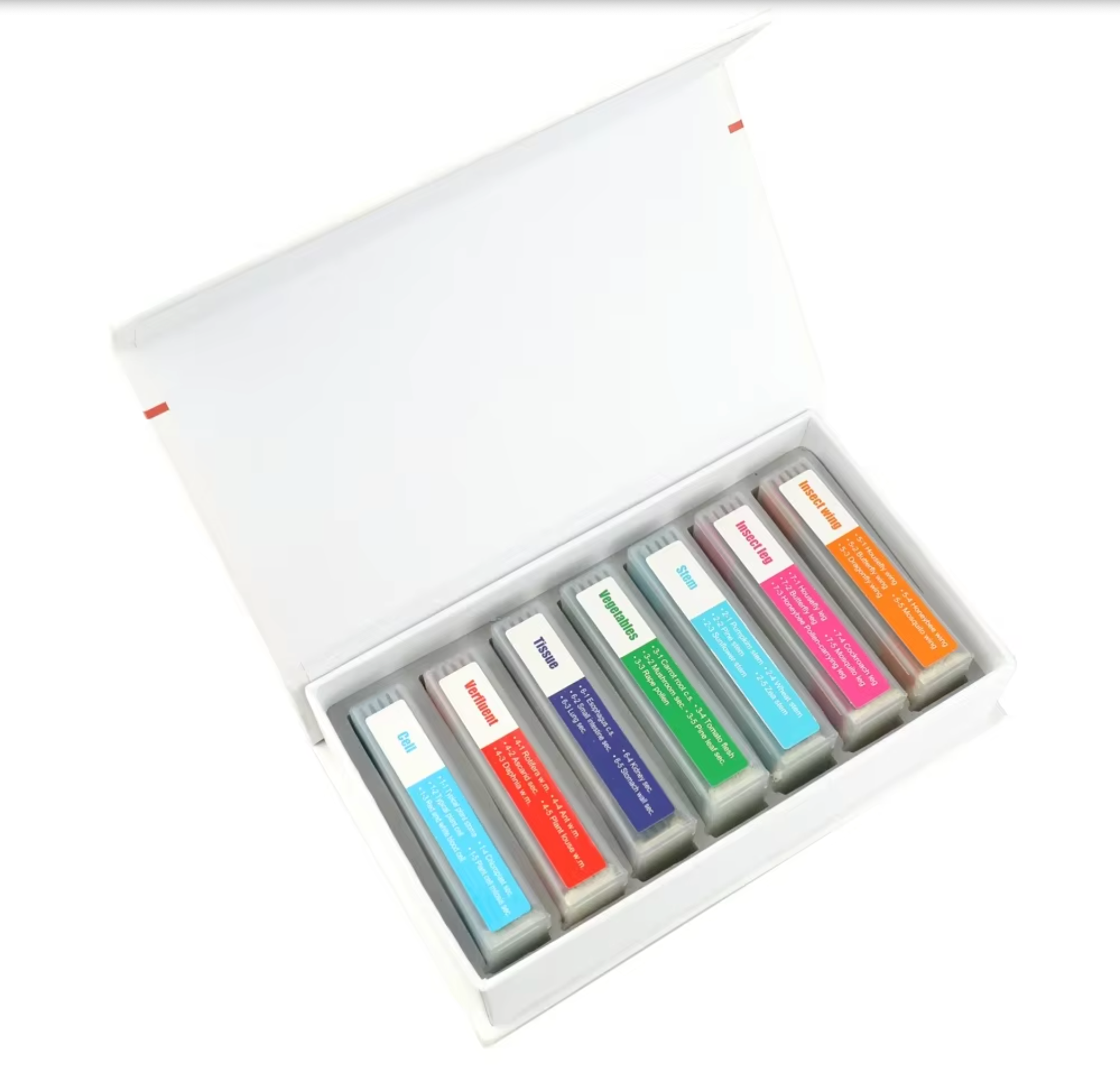 35 Piece Plastic Microscope Specimen Slides Biologically  Prepared For Microscopes. Primary, Secondary, College or University