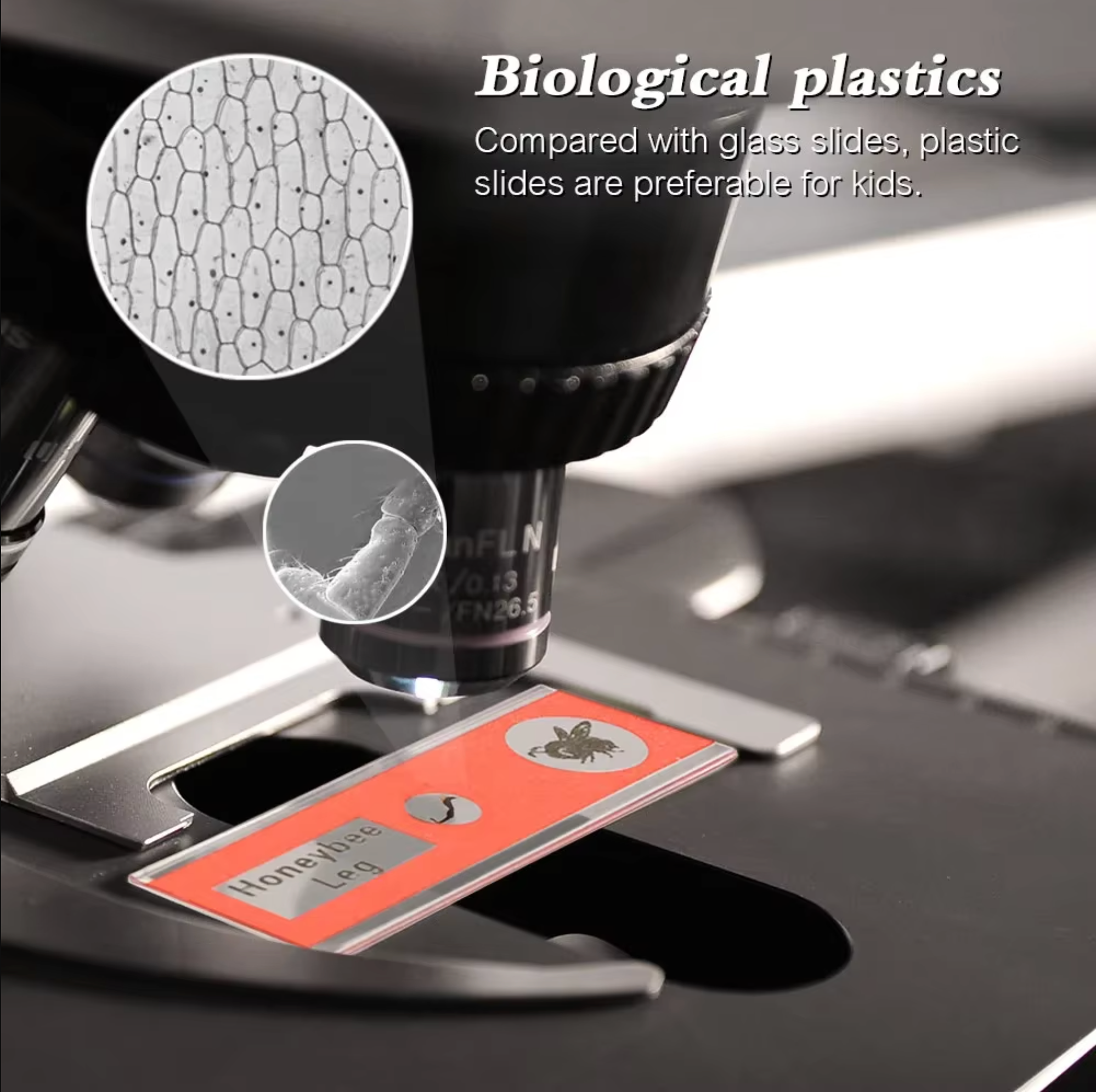 48 plastic prepared microscope slides, including plants, insects and animal tissues designed for educational purposes. Colored labels provide easy classification. Perfect for use in biological education