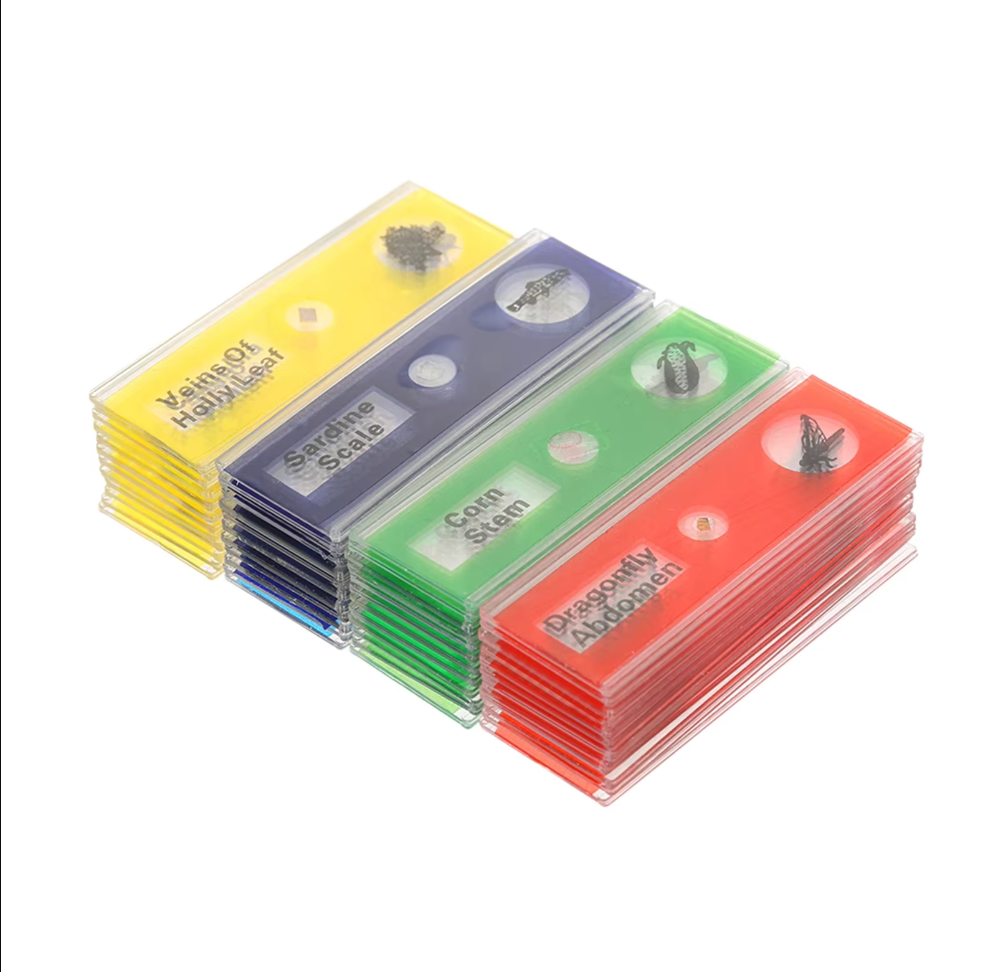 48 plastic prepared microscope slides, including plants, insects and animal tissues designed for educational purposes. Colored labels provide easy classification. Perfect for use in biological education