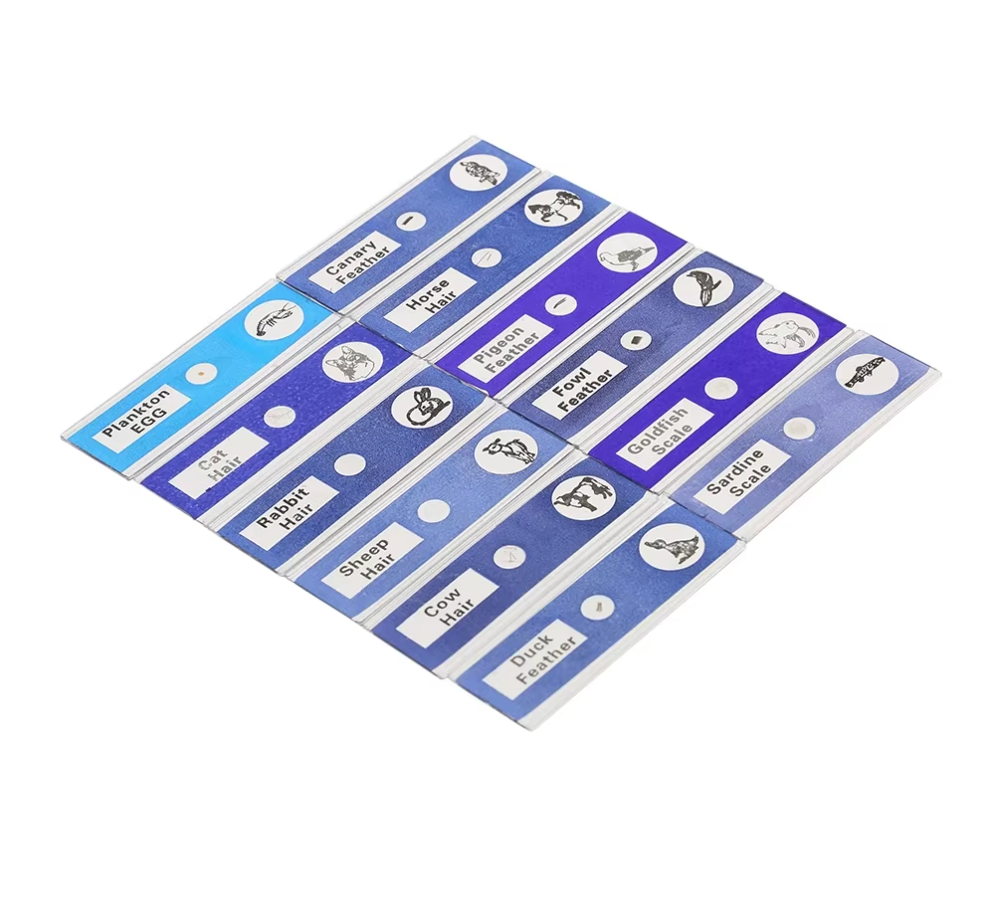 48 plastic prepared microscope slides, including plants, insects and animal tissues designed for educational purposes. Colored labels provide easy classification. Perfect for use in biological education
