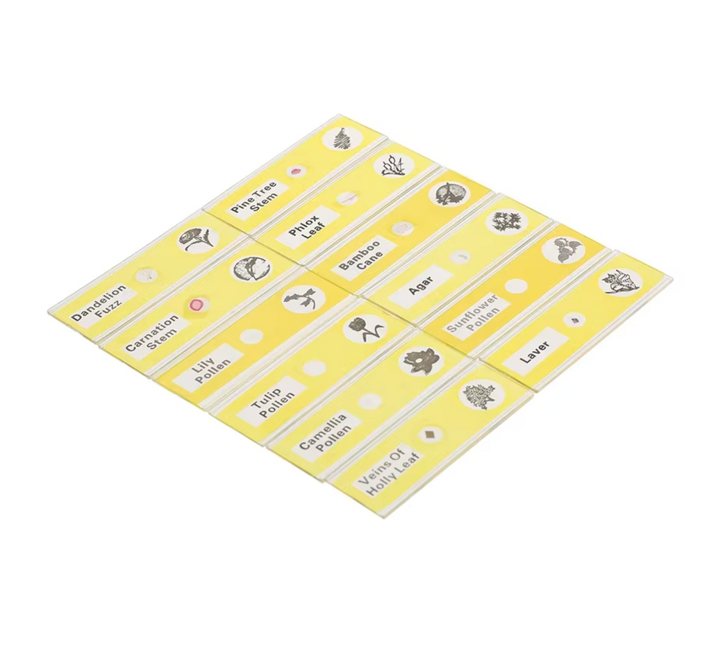 48 plastic prepared microscope slides, including plants, insects and animal tissues designed for educational purposes. Colored labels provide easy classification. Perfect for use in biological education