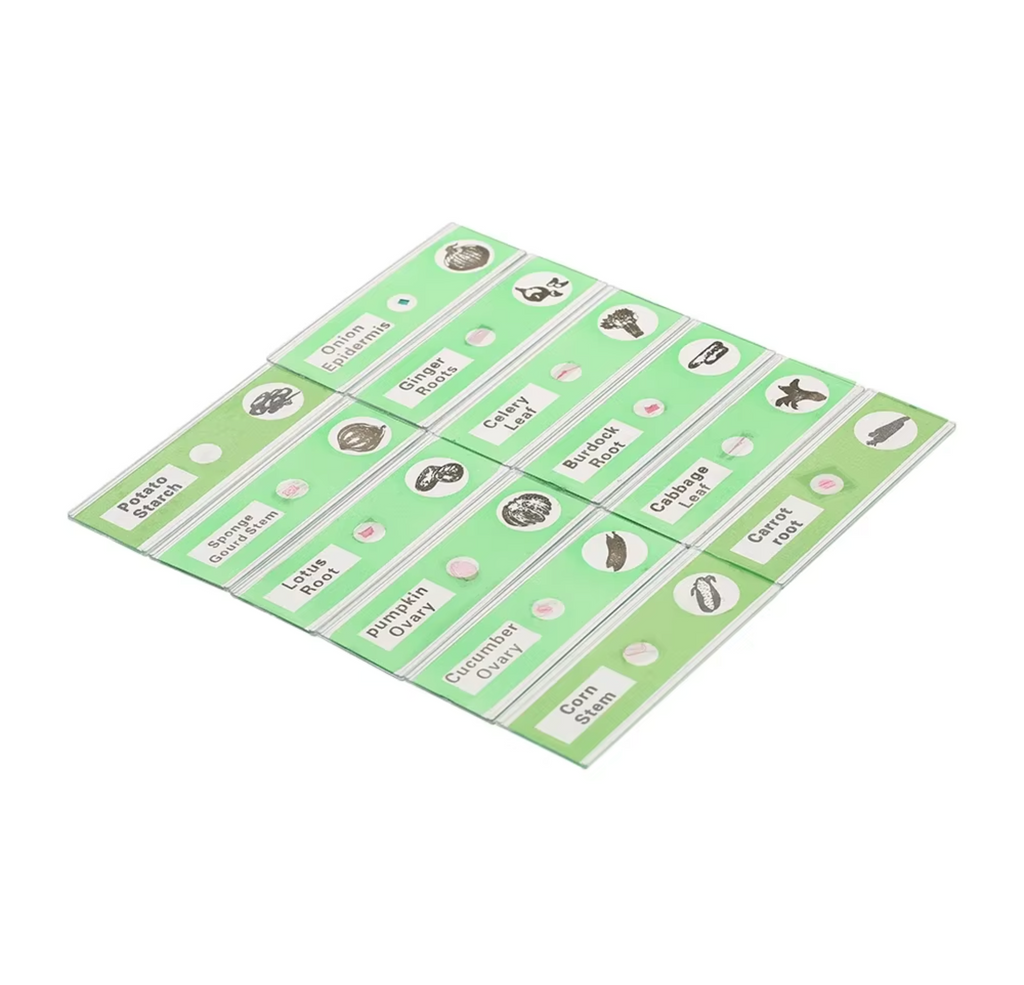 48 plastic prepared microscope slides, including plants, insects and animal tissues designed for educational purposes. Colored labels provide easy classification. Perfect for use in biological education