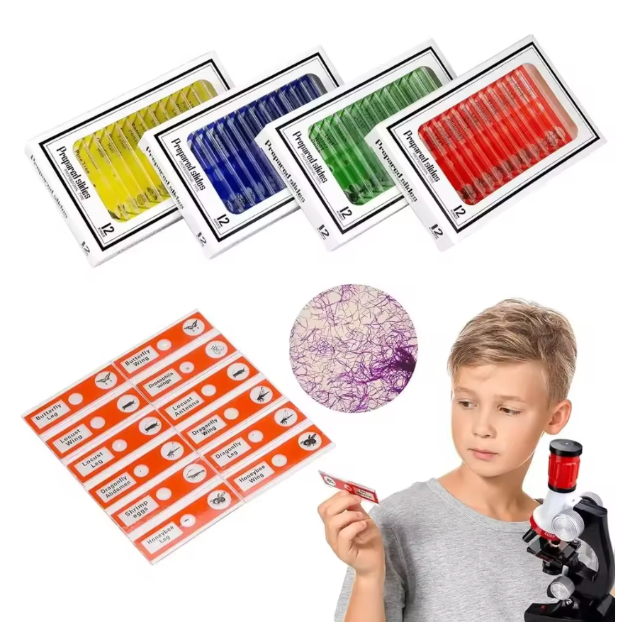 48 plastic prepared microscope slides, including plants, insects and animal tissues designed for educational purposes. Colored labels provide easy classification. Perfect for use in biological education