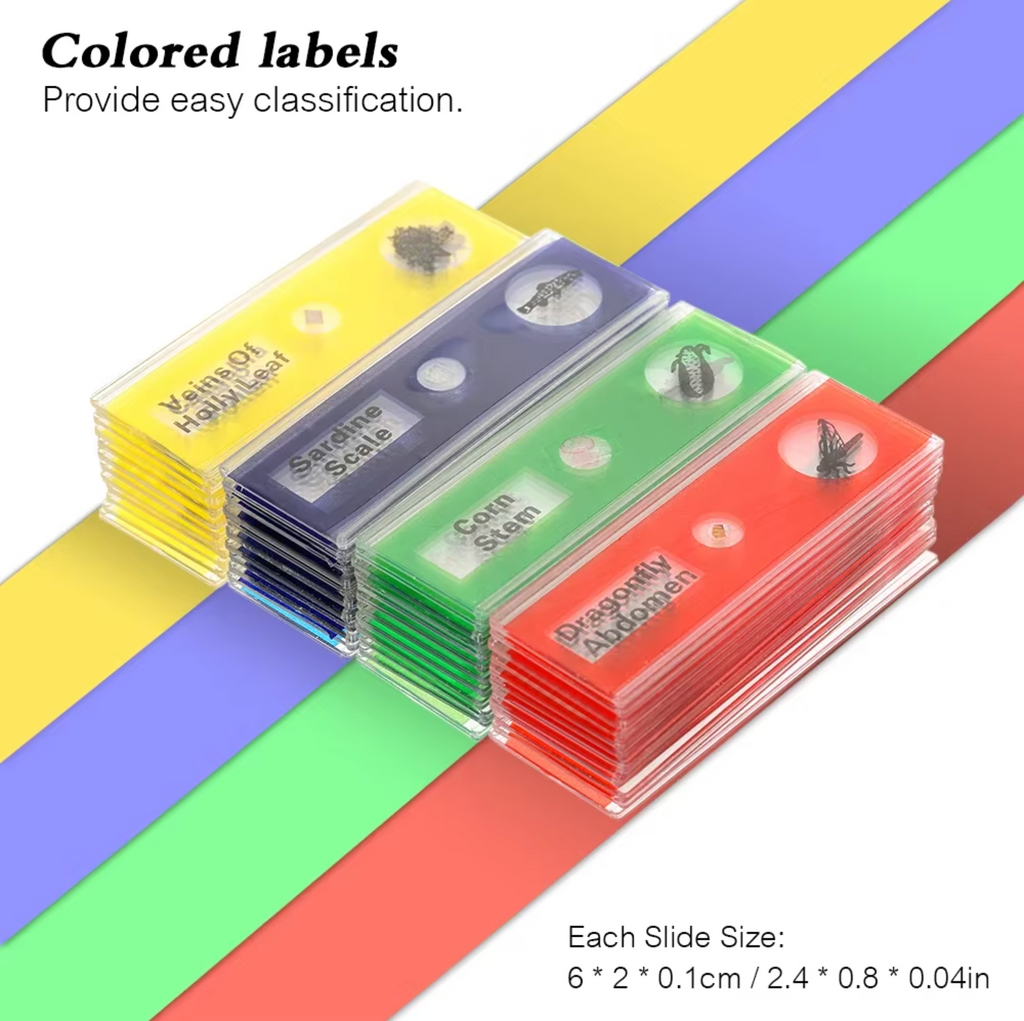48 plastic prepared microscope slides, including plants, insects and animal tissues designed for educational purposes. Colored labels provide easy classification. Perfect for use in biological education